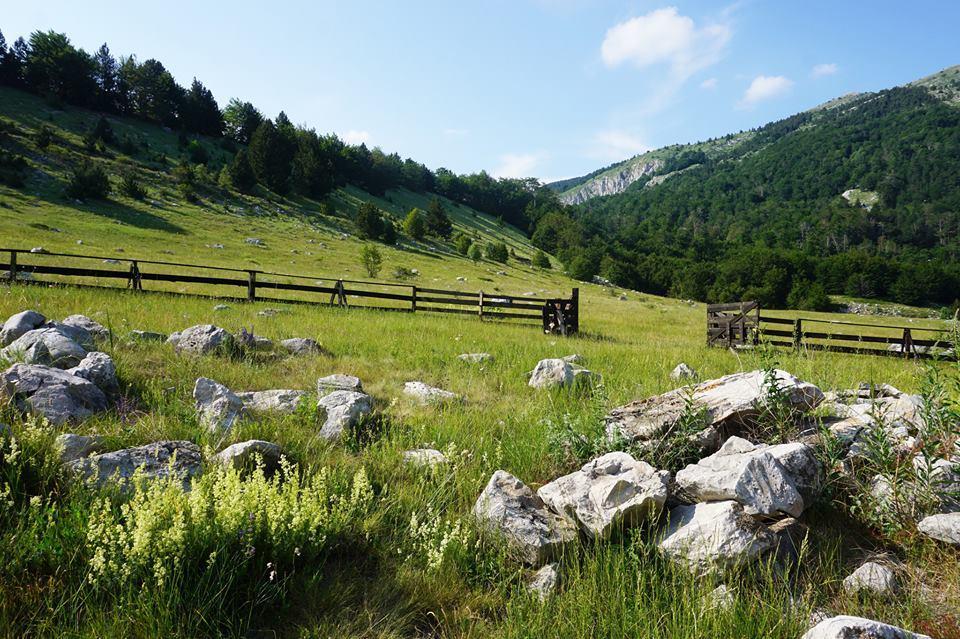 Mountain House Varda Ledenice ภายนอก รูปภาพ